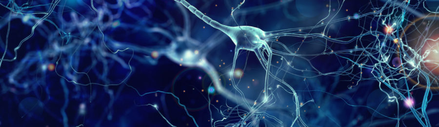 neuron-featured-image