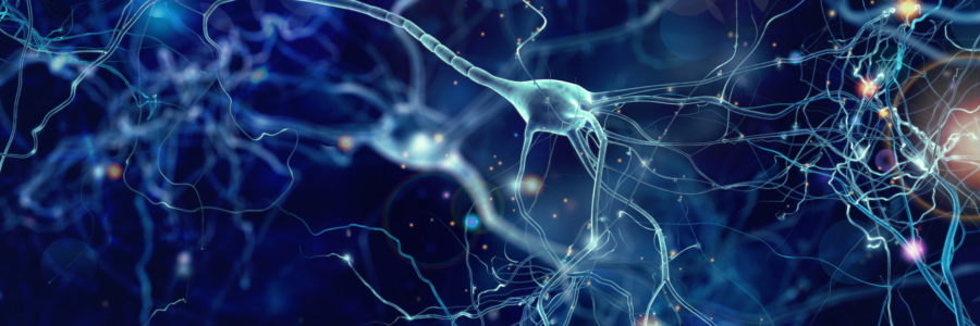 neuron-featured-image