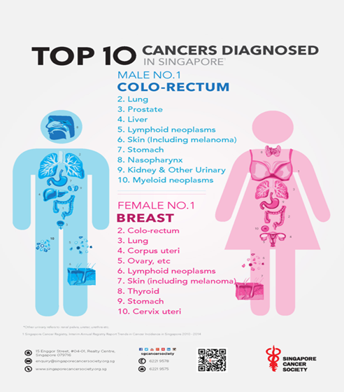 Dietary Consumption and Cancer Prevention – Kosmos Publishers