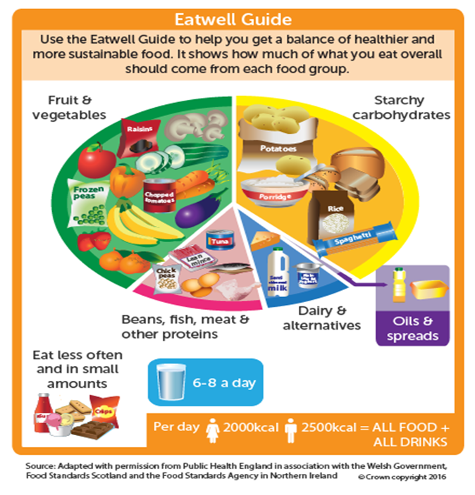 Dietary Consumption and Cancer Prevention – Kosmos Publishers