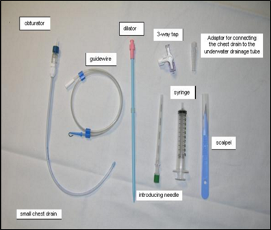 Small-Bore versus Large-Bore chest drain in the Management of Patients ...