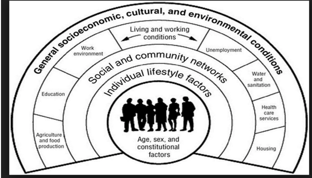 Effectiveness of Predictive Analytics in Precision Public Health in ...